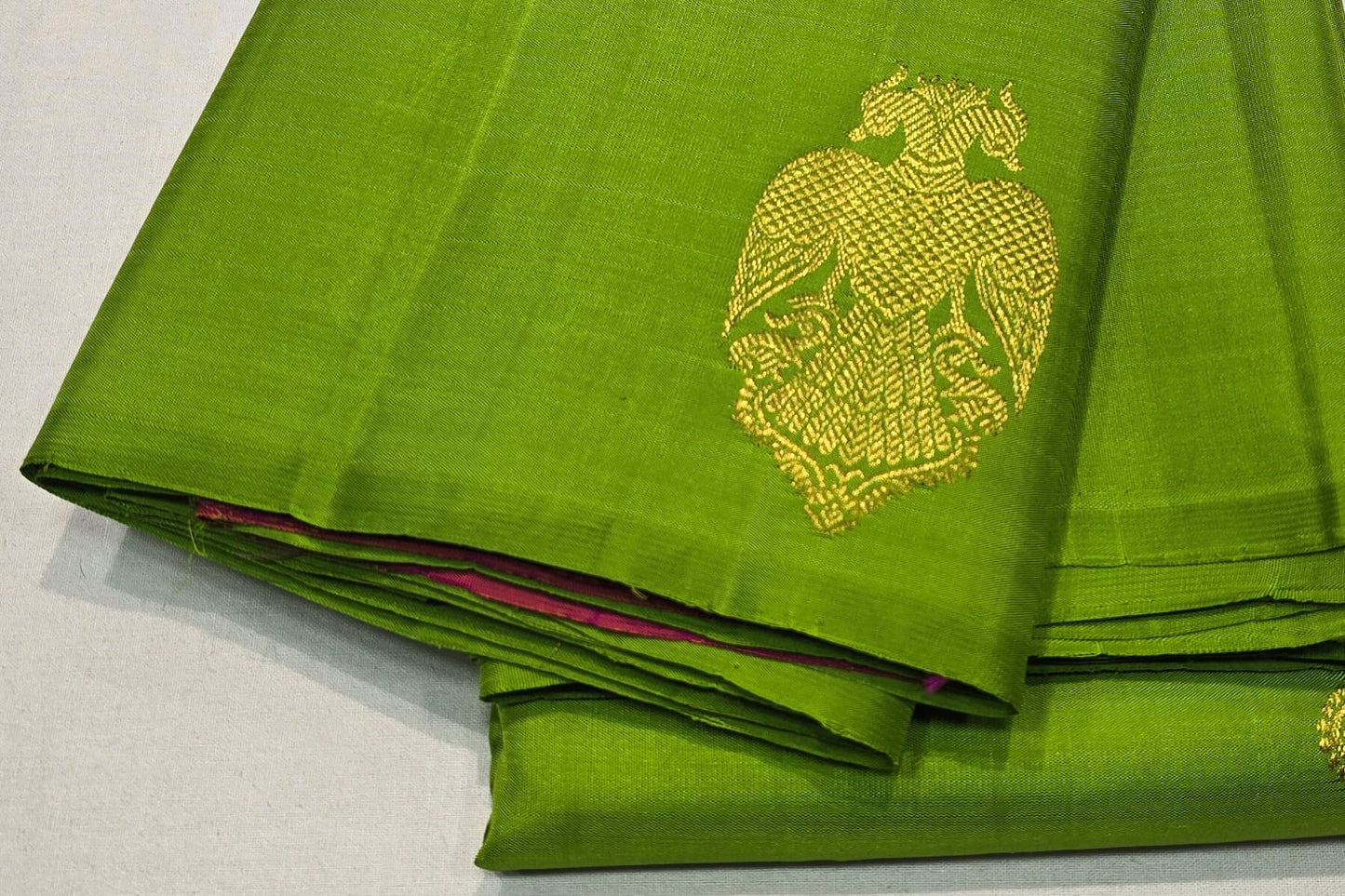 Parrot Green Borderless Kanjivaram Silk Saree SS5821