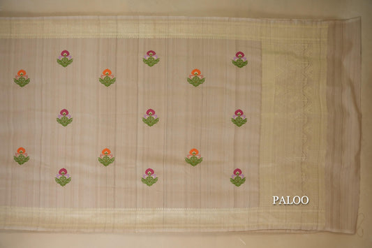 Tussar Color Banarasi Silk Saree paloo