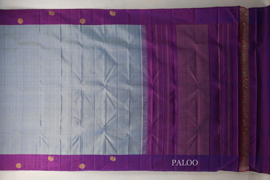 Dual Tone Silver Grey and Pastel Green with Dual Tone Pink and Blue Borders Plant Based Kanjivaram Silk Saree SS9078