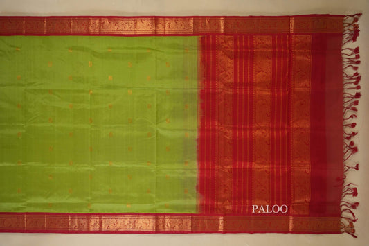 Pista Green with Red Borders Silk Cotton Saree Paloo