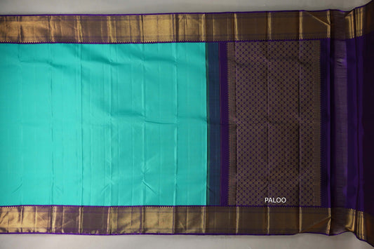 Aqua blue with Royal Purple borders Vintage Kanjivaram Silk Saree SS9374