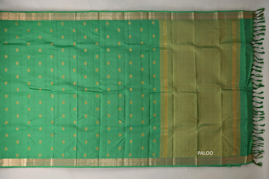 Light Parrot Green Light Weight Kanjivaram Silk Saree paloo