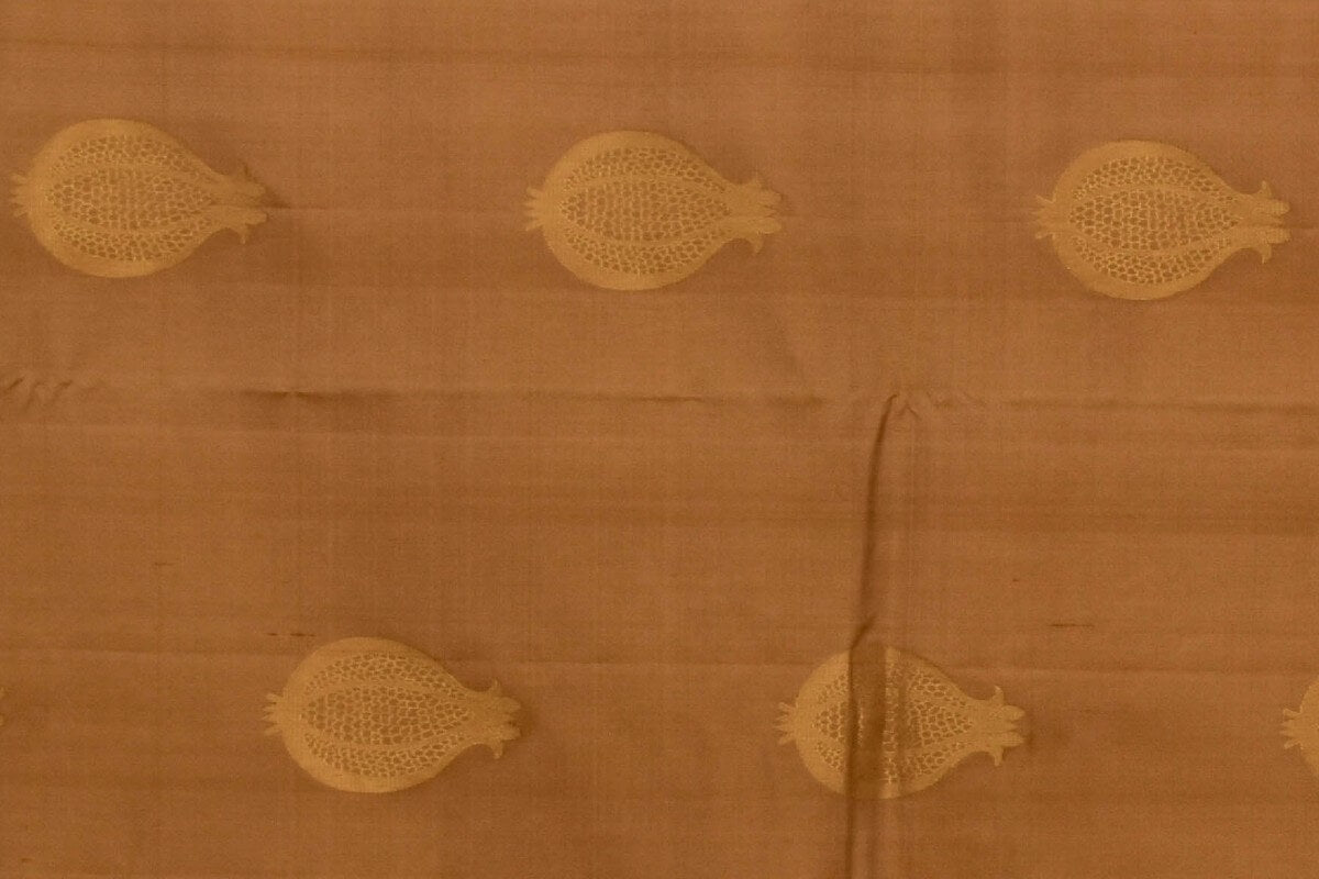 Kanjivaram silk saree TL164F