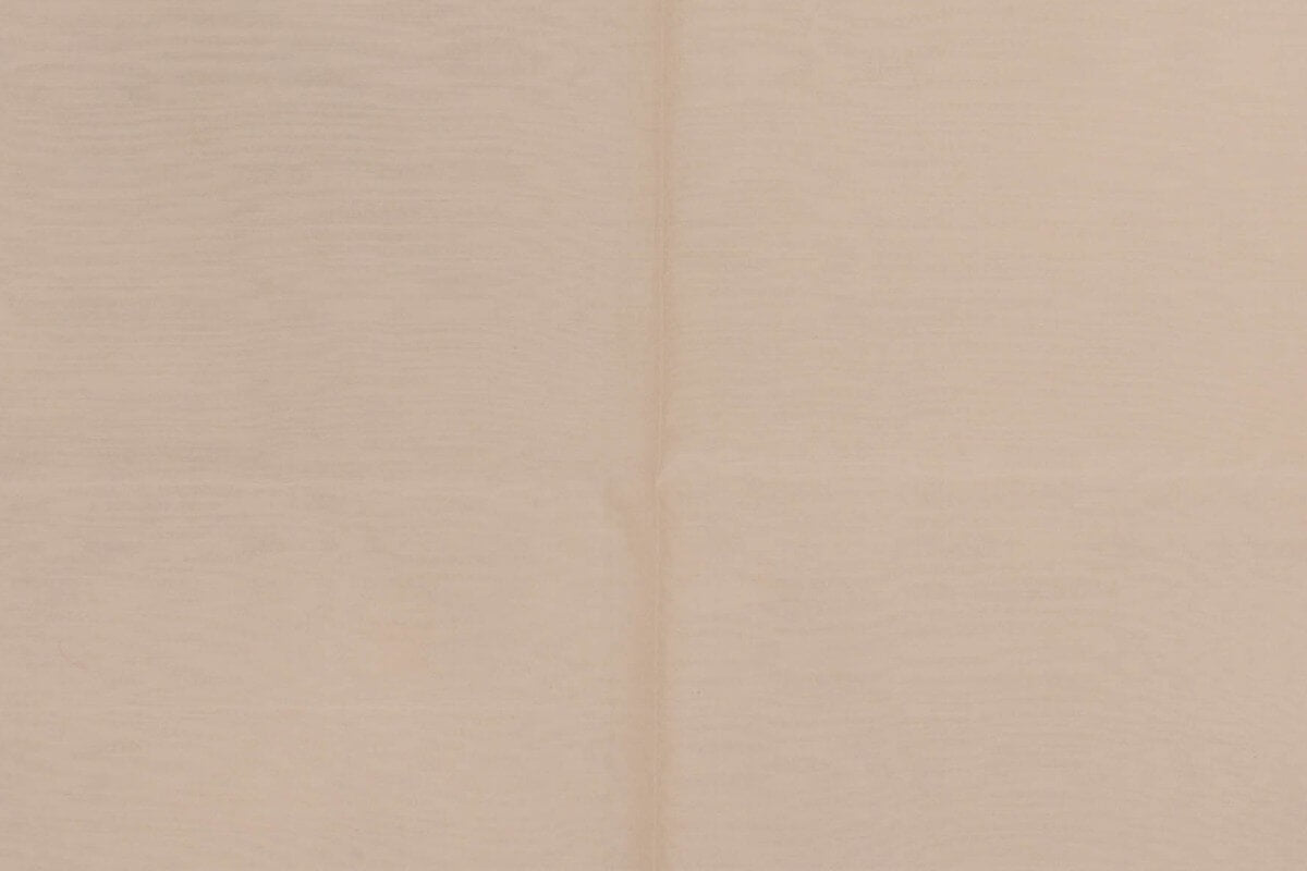 Maheshwari Silk Cotton Saree RB048