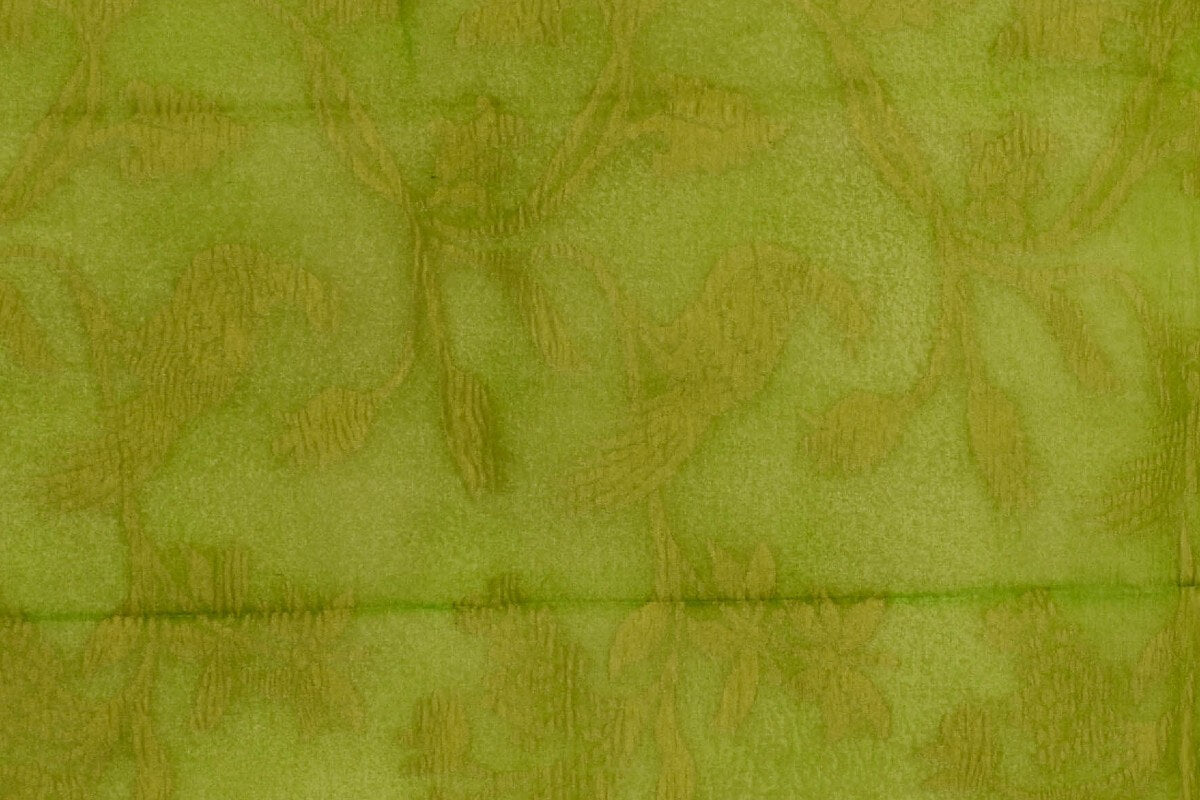 Raw silk saree AC391