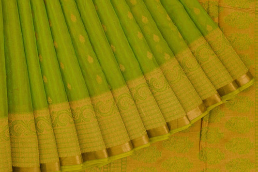 Light Green Silk Cotton Saree with Greenish Yellow Border & Matching Blouse SS3247