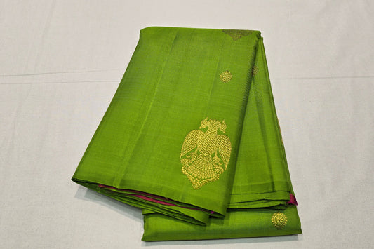 Parrot Green Borderless Kanjivaram Silk Saree SS5821