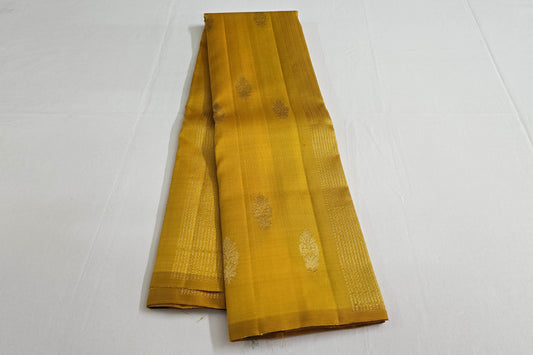 Borderless kanchipuram silk saree
