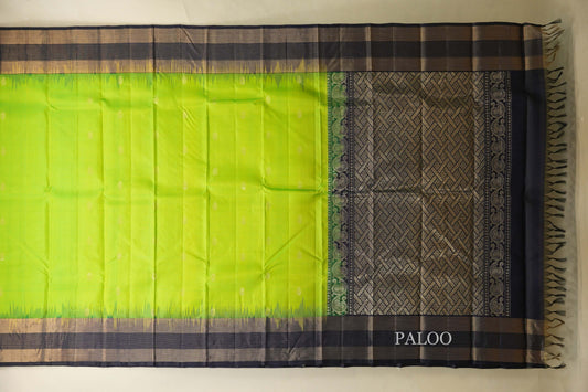 Parrot Green with Navy Blue Borders Light Weight Kanjivaram Silk Saree paloo