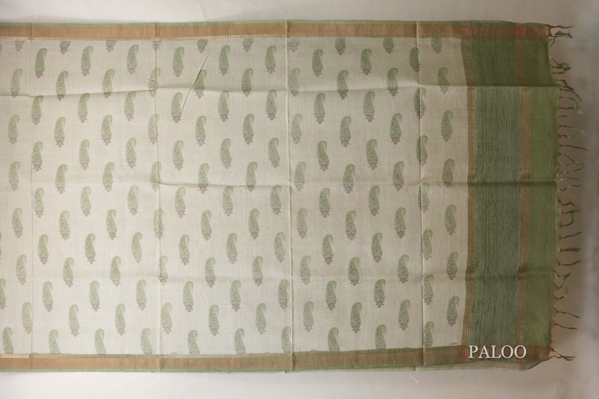 Cream with Olive green Borders Bhagalpur Tussar silk saree paloo