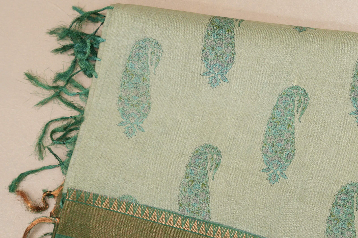 Pastel green with leaf green borders Bhagalpur Tussar silk saree body