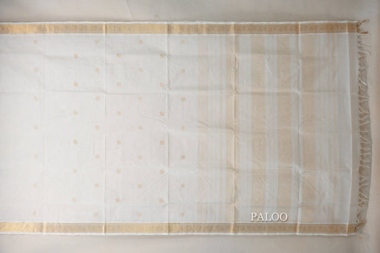 Cream Vegan Silk Cotton Saree paloo