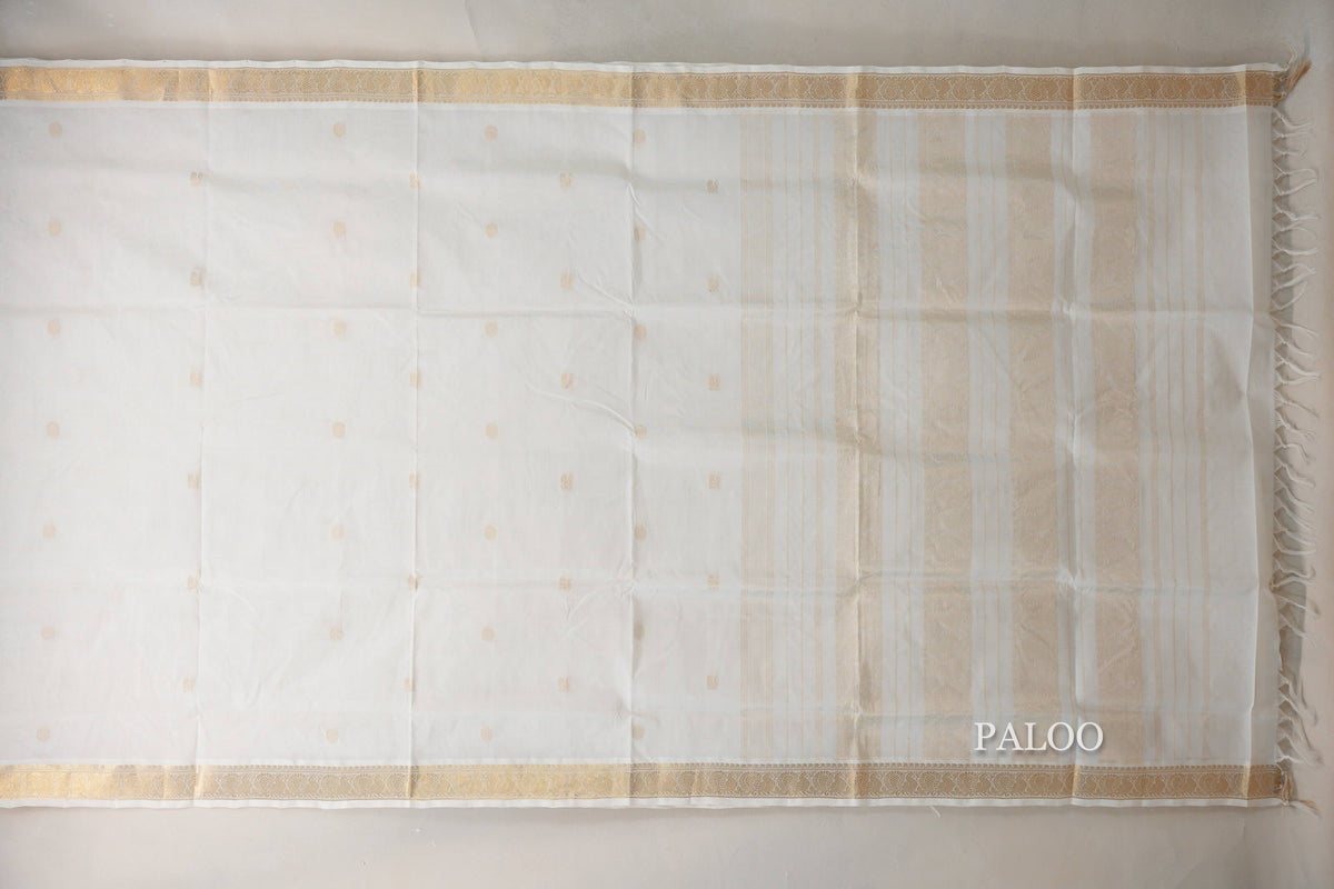Cream Vegan Silk Cotton Saree paloo
