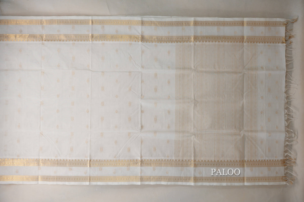 Cream Vegan Silk Cotton Saree paloo
