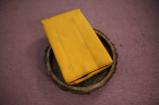 Borderless kanchipuram silk saree