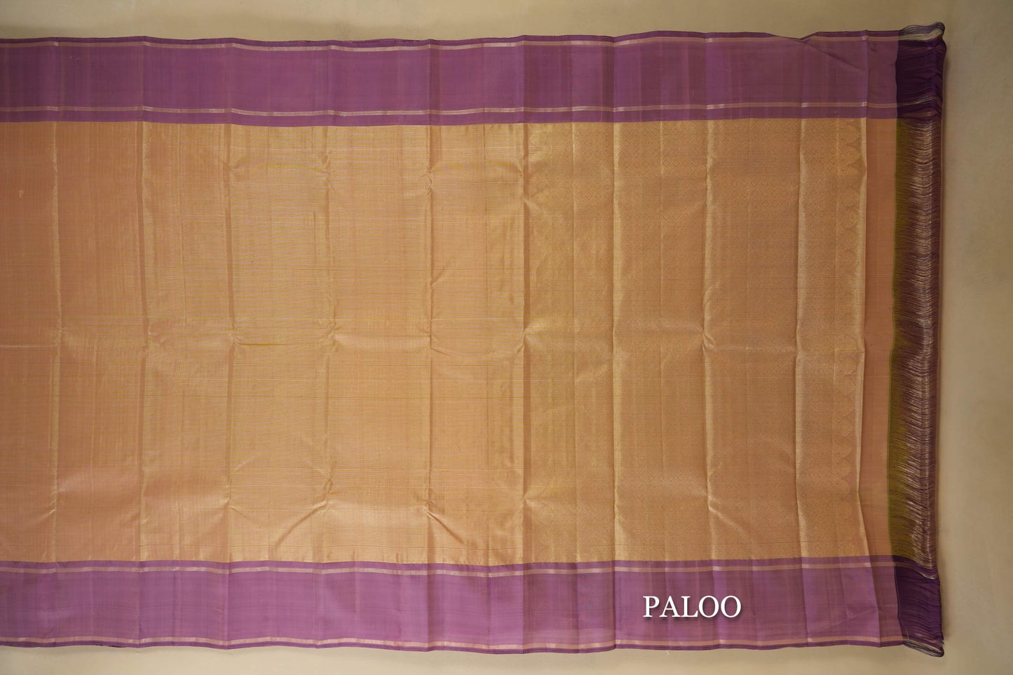 Beige Kanjivaram Silk Saree paloo