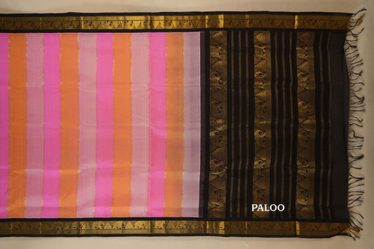 Multi Colour with Black Borders Silk Cotton Saree SS7931