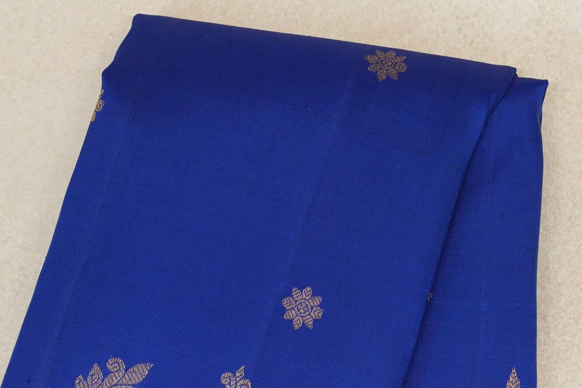 Ink Blue Borderless Plant Based Kanjivaram Silk Saree body