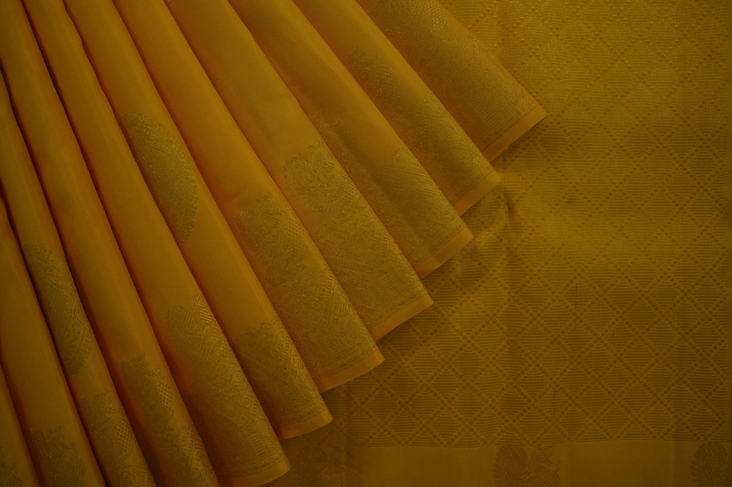 Borderless kanchipuram silk saree