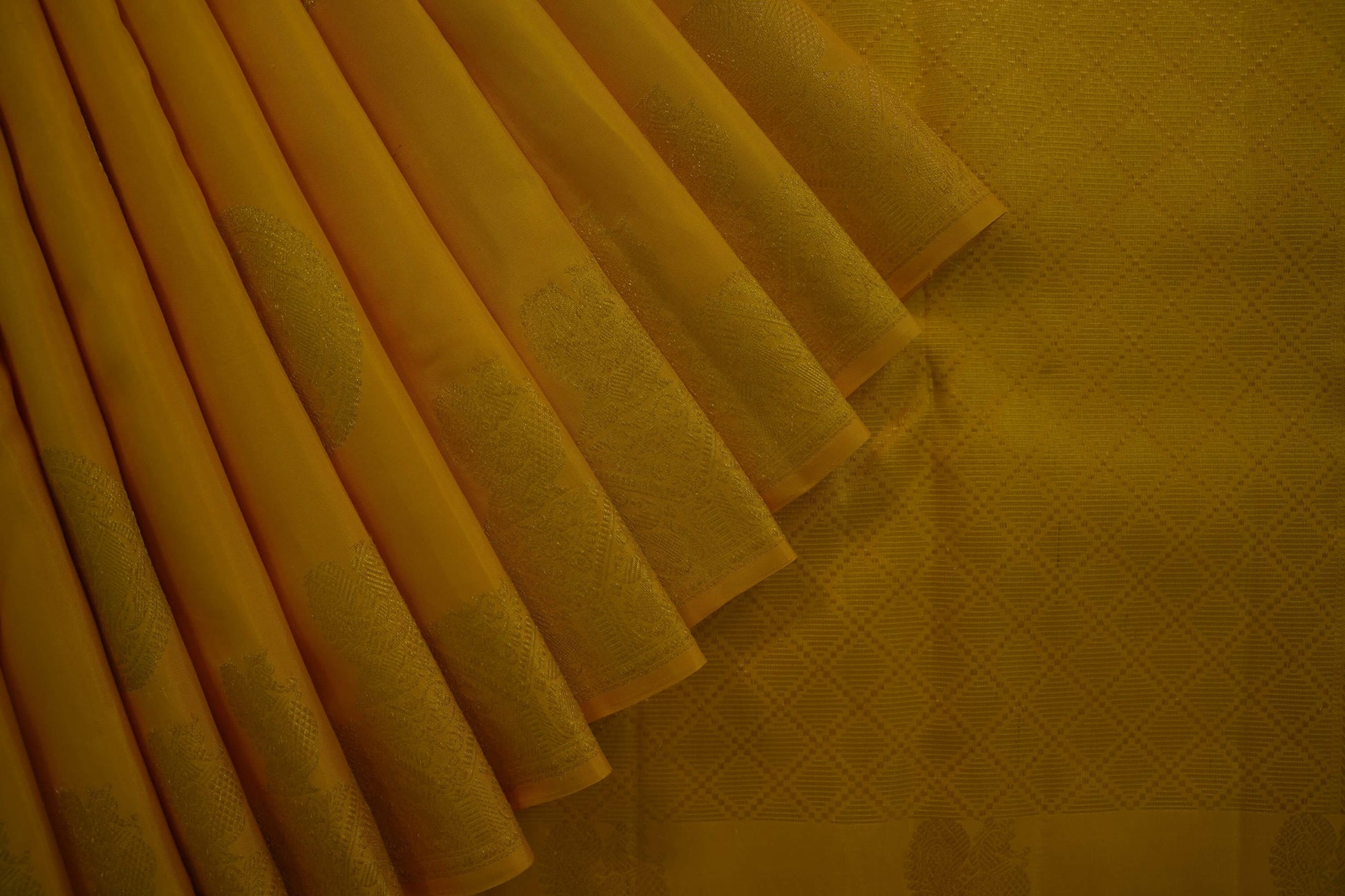 Borderless kanchipuram silk saree