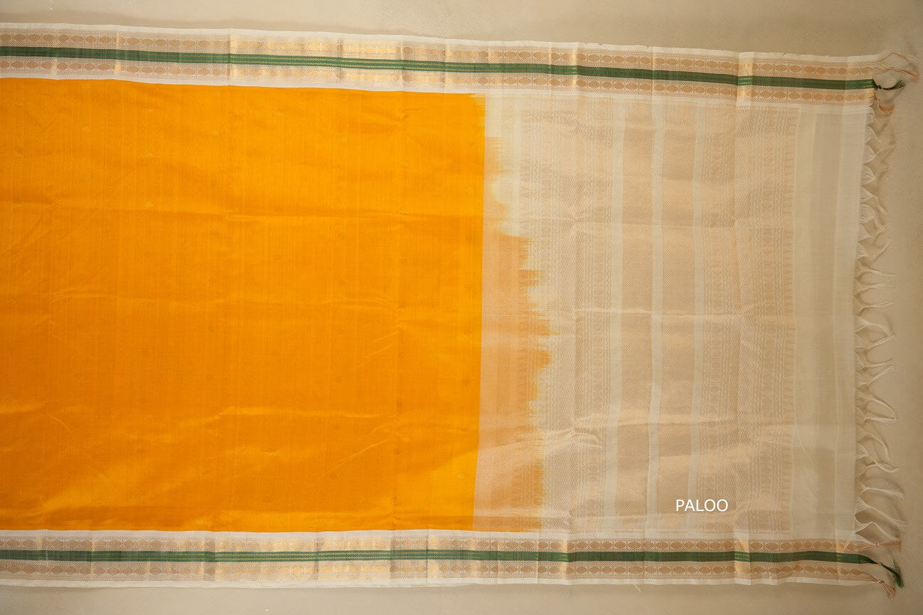 Yellow with off white Borders Silk Cotton Saree by Shreenivas Silks  paloo