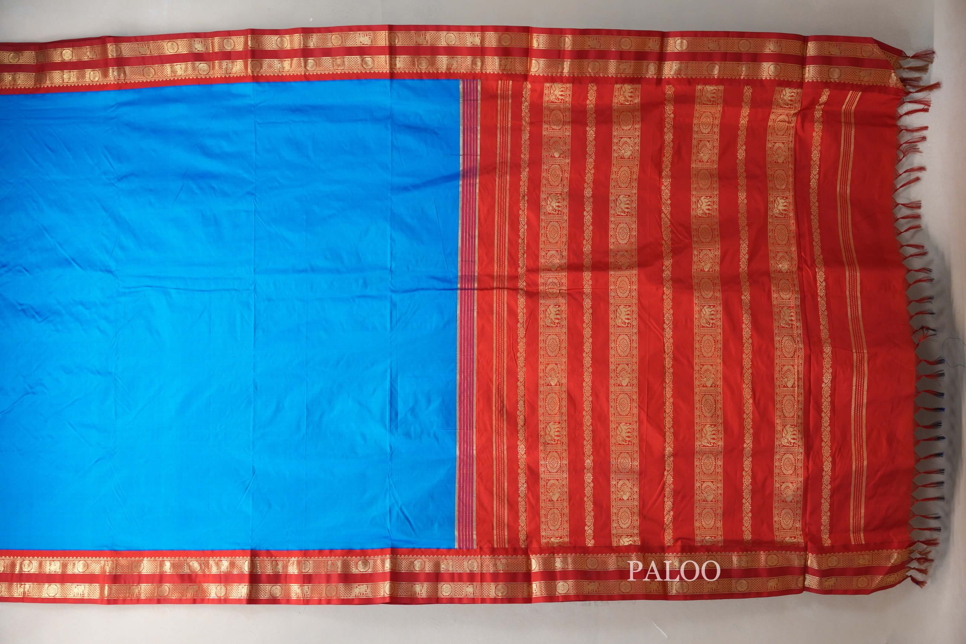 Bright blue Ten Yards Silk Cotton saree  paloo
