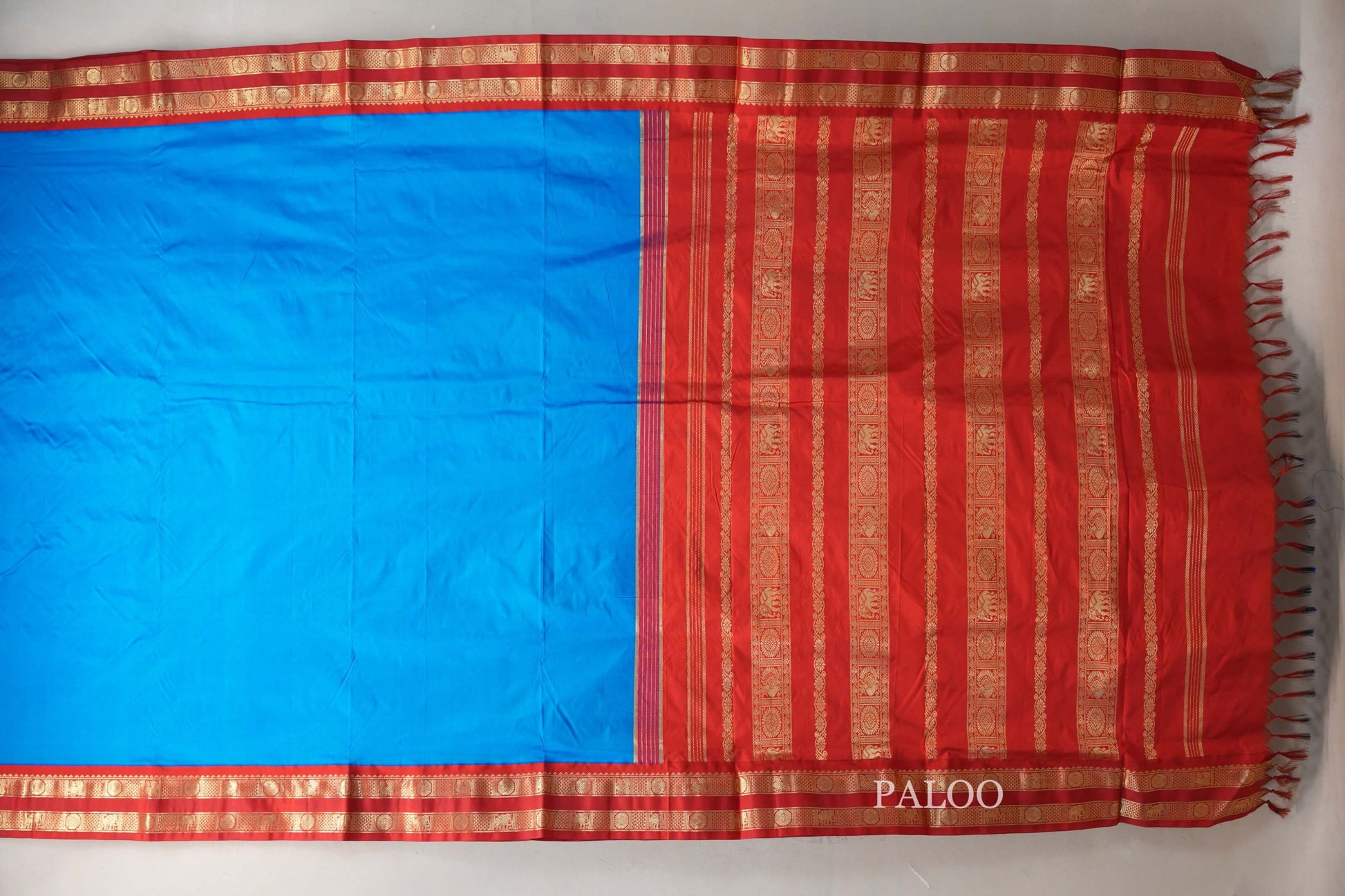 Bright blue Ten Yards Silk Cotton saree  paloo