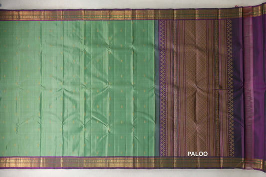 Pastel Green with Dual Tone Bottle Green and Magenta Borders Vintage Kanjivaram Silk Saree paloo