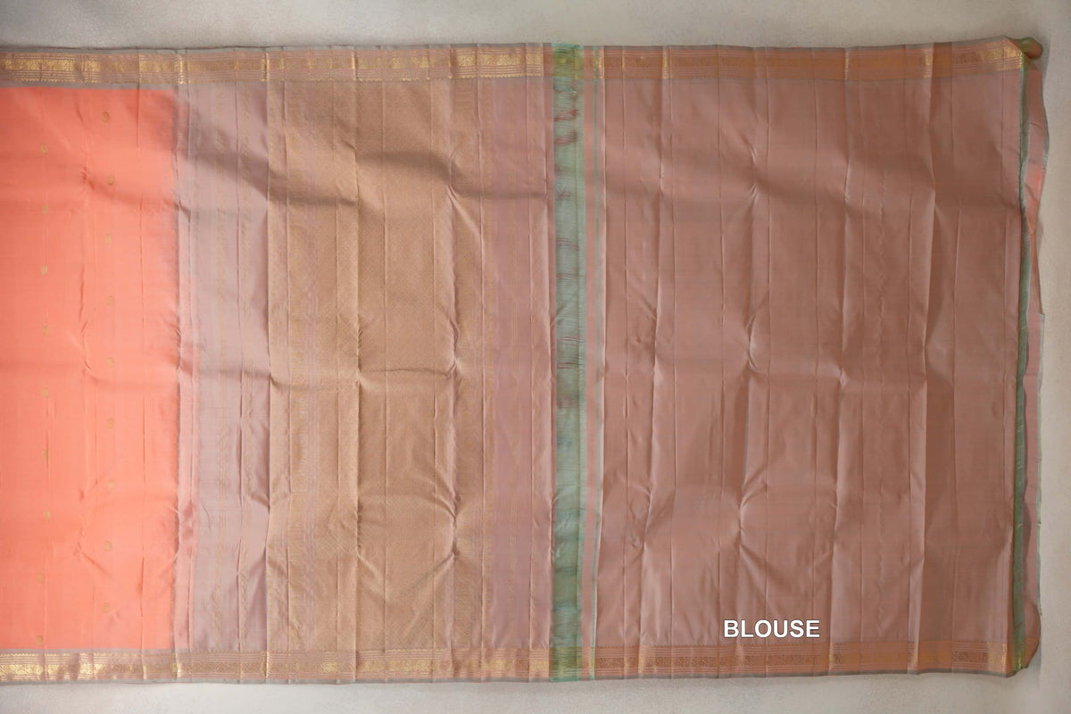 Light Salmon Pink with Pastel Sage Green Borders Vintage Kanjivaram Silk Saree blouse