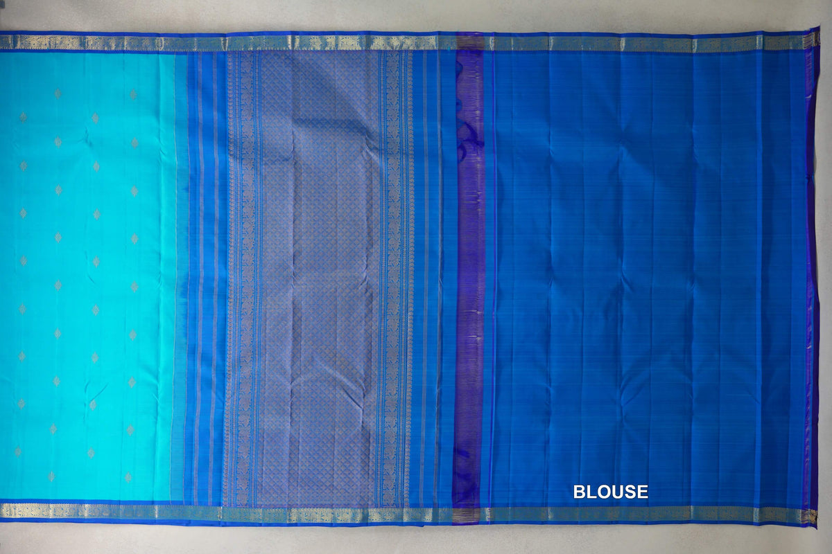 Bright Aqua Blue with Deep Classic Blue Borders Vintage Kanjivaram Silk Saree blouse