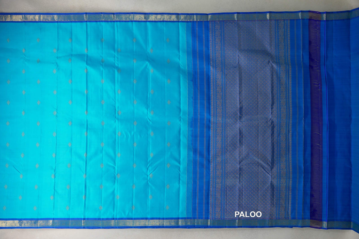 Bright Aqua Blue with Deep Classic Blue Borders Vintage Kanjivaram Silk Saree paloo