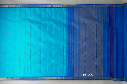 Bright Aqua Blue with Deep Classic Blue Borders Vintage Kanjivaram Silk Saree paloo
