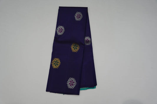 Borderless kanchipuram silk saree