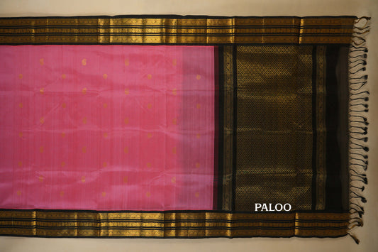 Onion Pink with Black Borders Silk Cotton Saree paloo