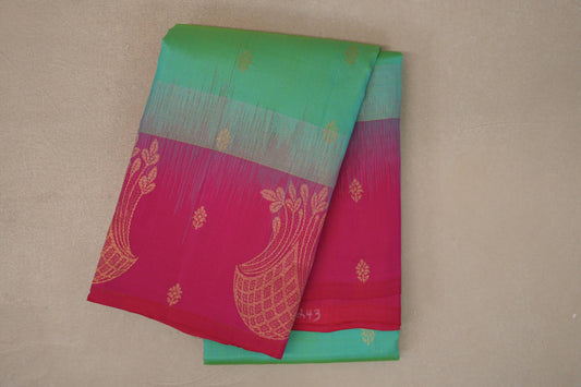 Dual Tone of Aqua Blue & Parrot Green with Bright Pink Borders Light Weight Kanjivaram Silk Saree
