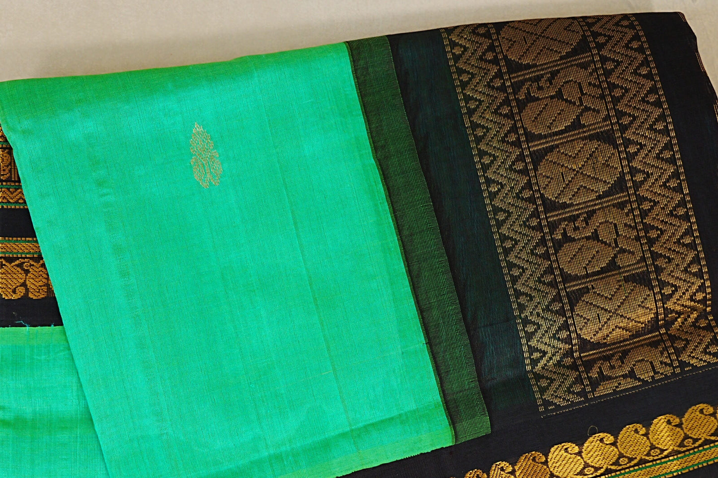 Sea Green with Black Borders Silk Cotton Saree body zoom