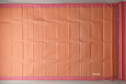 Light peach with Coral Pink borders Vintage Kanjivaram Silk Saree SS9920