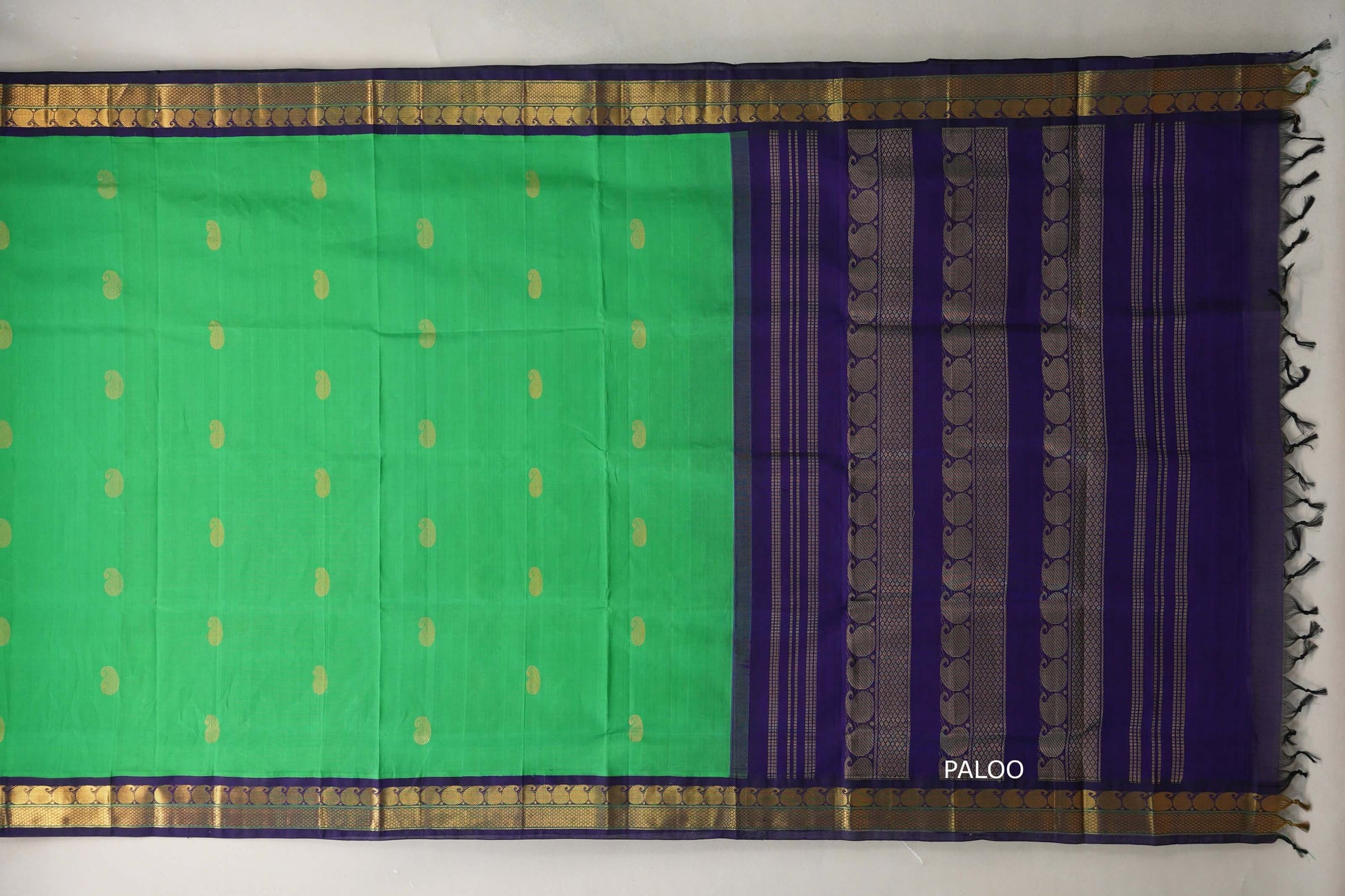 Leaf green with Navy Blue Borders Vintage Silk Cotton Saree paloo
