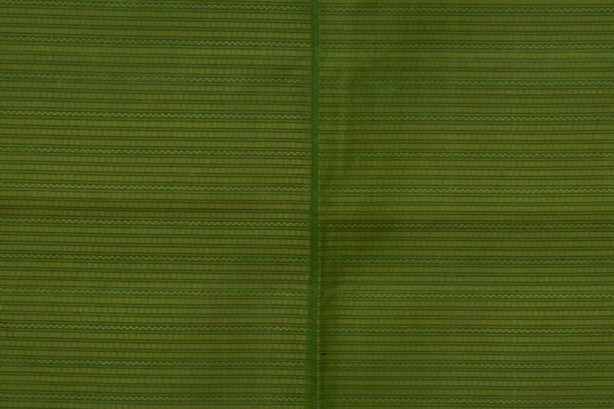 Green Rettai Pettu Kanjivaram Silk Saree RB003