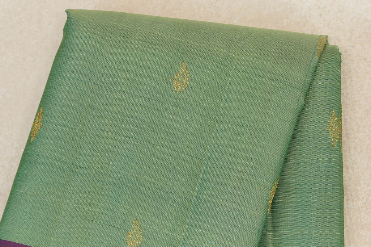 Pastel Green with Dual Tone Bottle Green and Magenta Borders Vintage Kanjivaram Silk Saree body