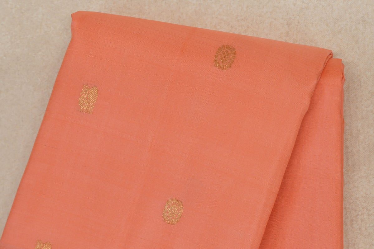 Light Salmon Pink with Pastel Sage Green Borders Vintage Kanjivaram Silk Saree body