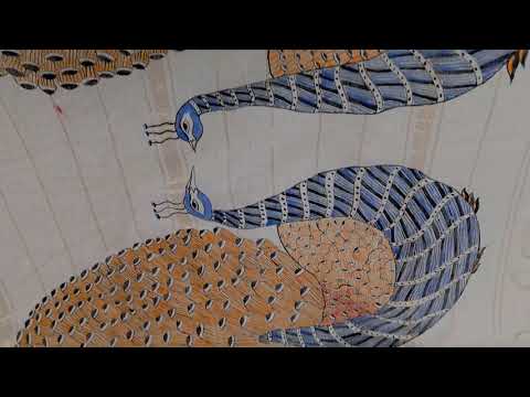 Silk cotton saree SH017